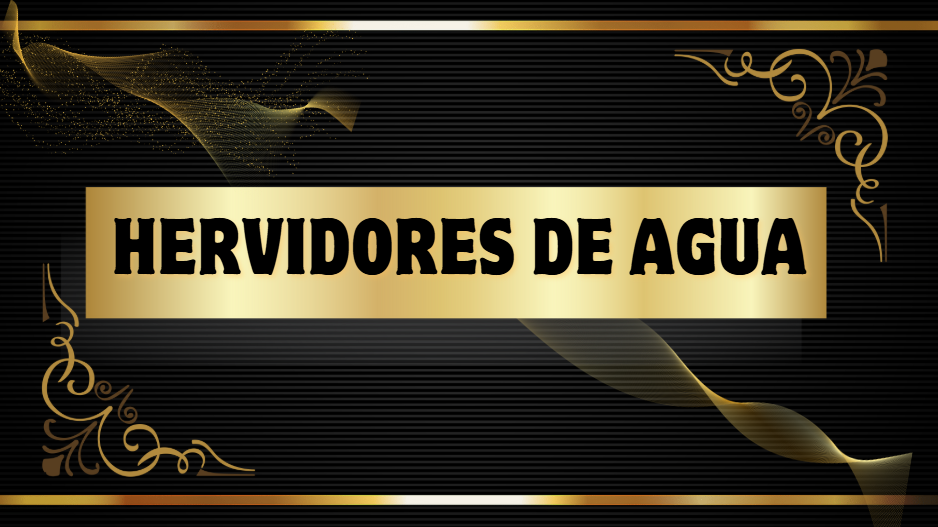 HERVIDORES DE AGUA